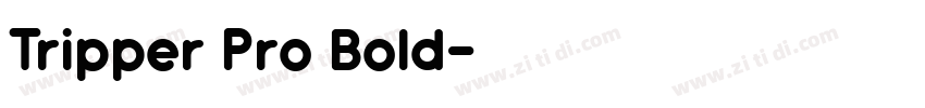 Tripper Pro Bold字体转换